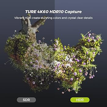 キャプチャボード NearStream AW-CCD30 NearStream CCD30 - 4K USB 3.1 Video Capture Card for Streaming